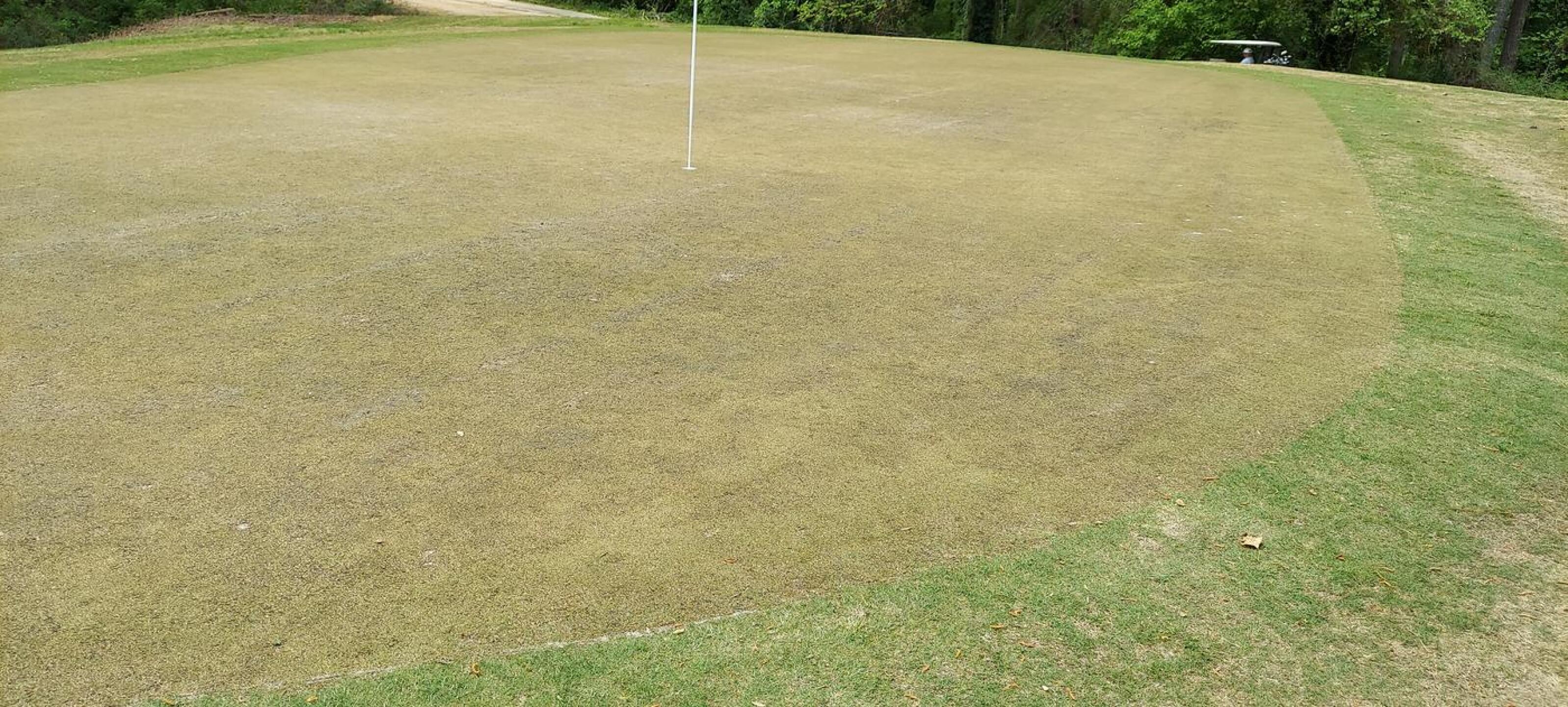 (Photo submitted by u621076289 on 04/23/2022)