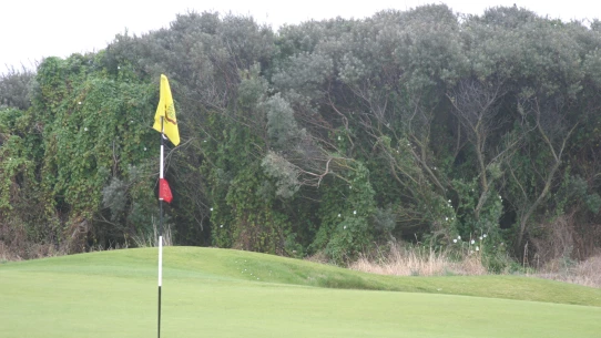 Royal Dublin GC - hole 12