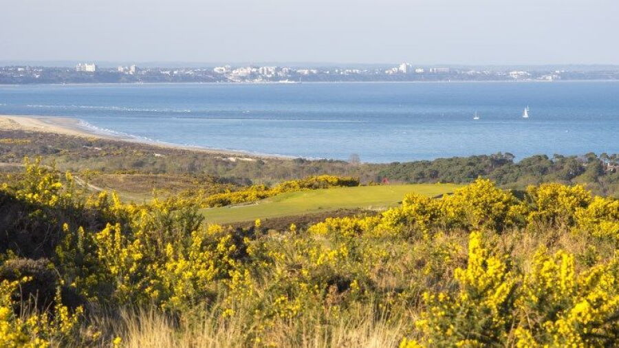 Isle of Purbeck GC