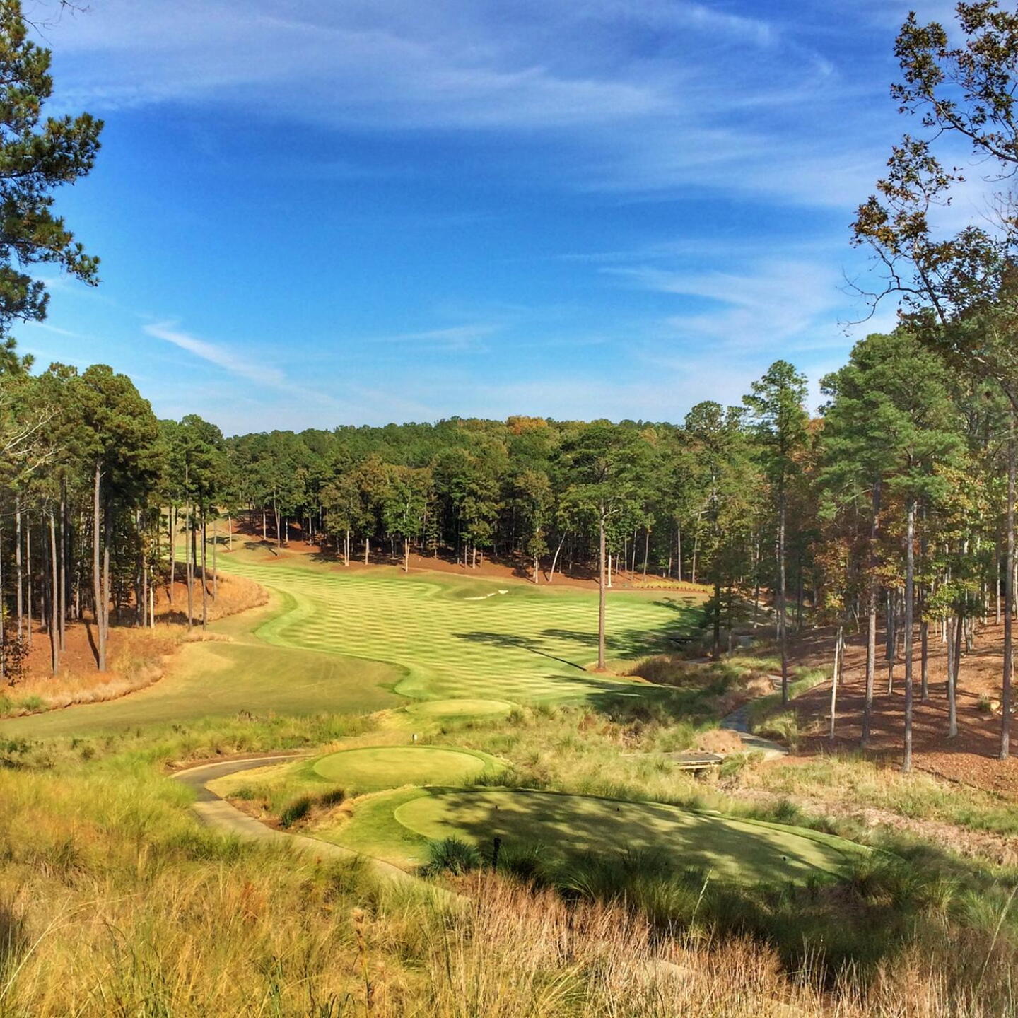 One of many elevated tee shots. (Photo submitted by BrandonTuckerGA on 11/17/2017)