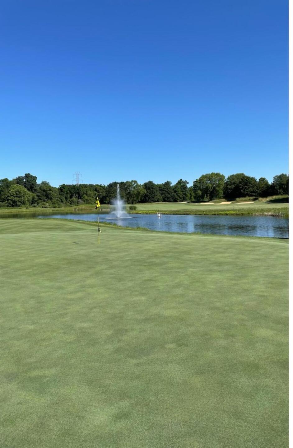 (Photo submitted by mrolympia on 06/21/2021)