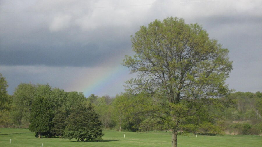 Tomac Woods GC