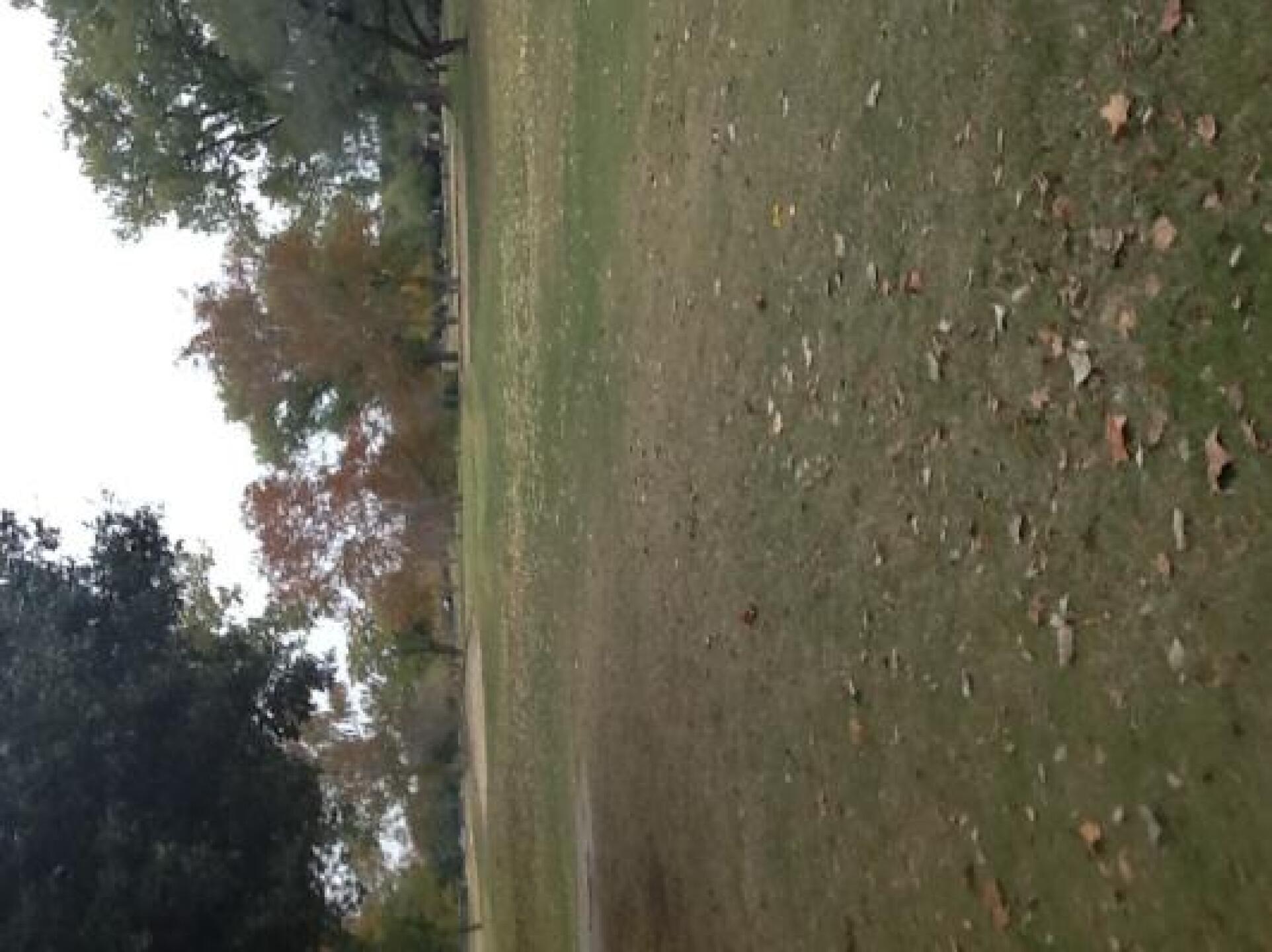 (Photo submitted by u000008035062 on 12/07/2013)