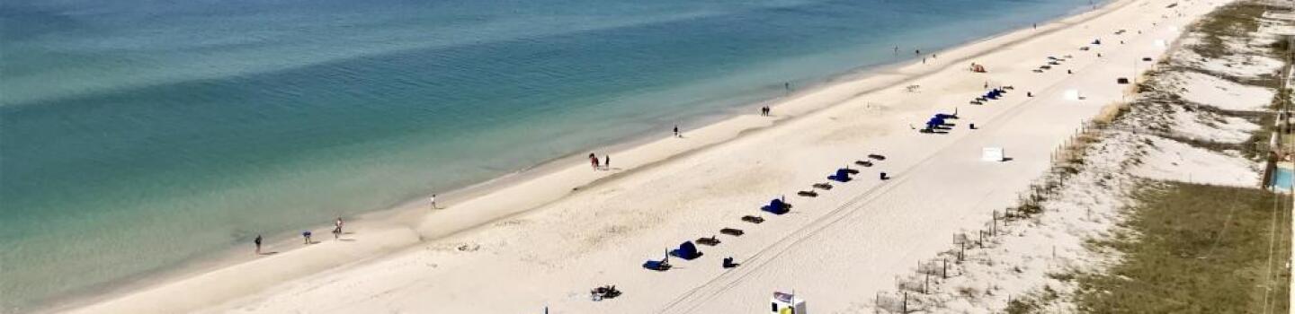 gulfshores.jpeg