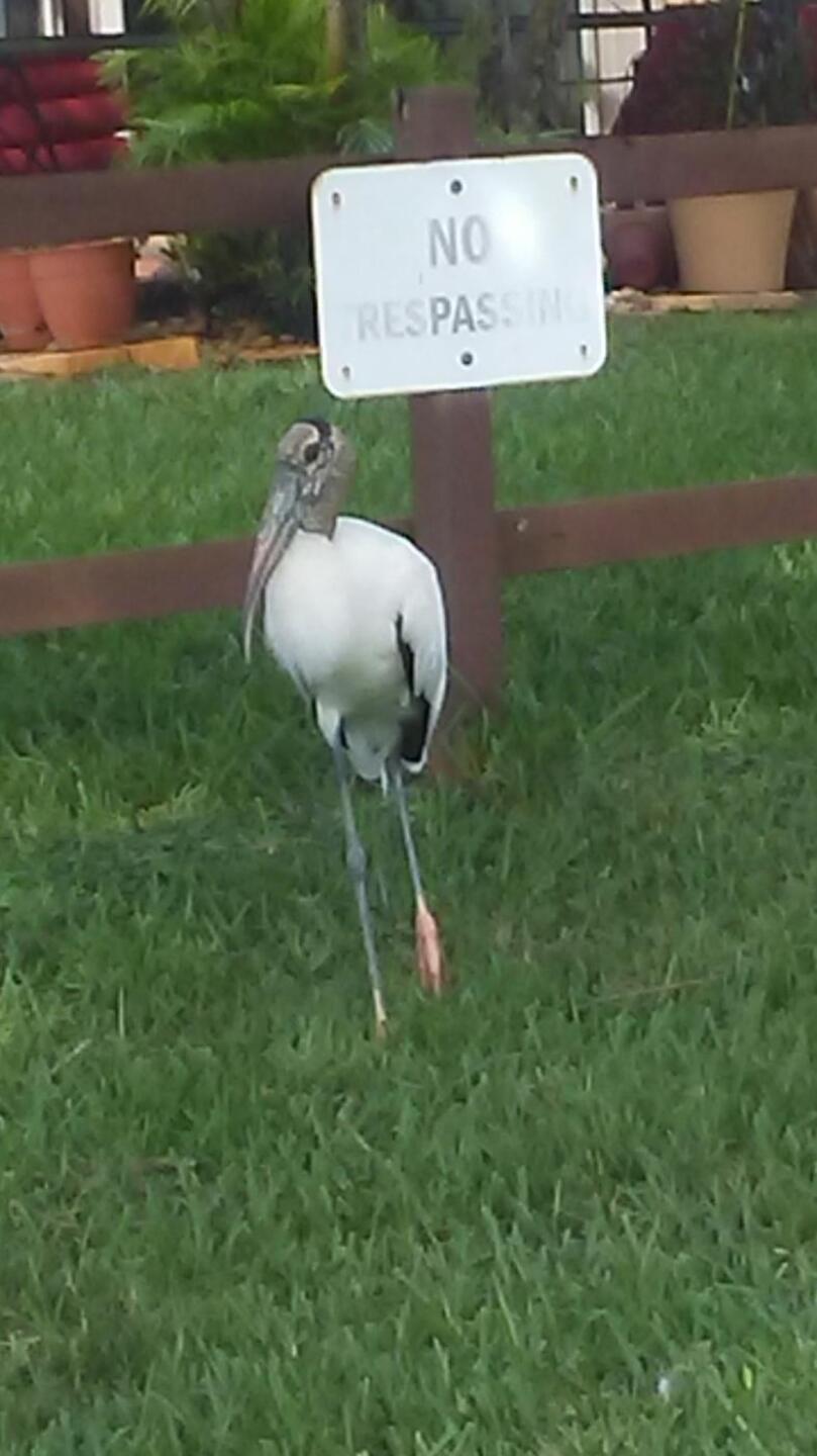 (Photo submitted by Perry5388157 on 10/03/2019)