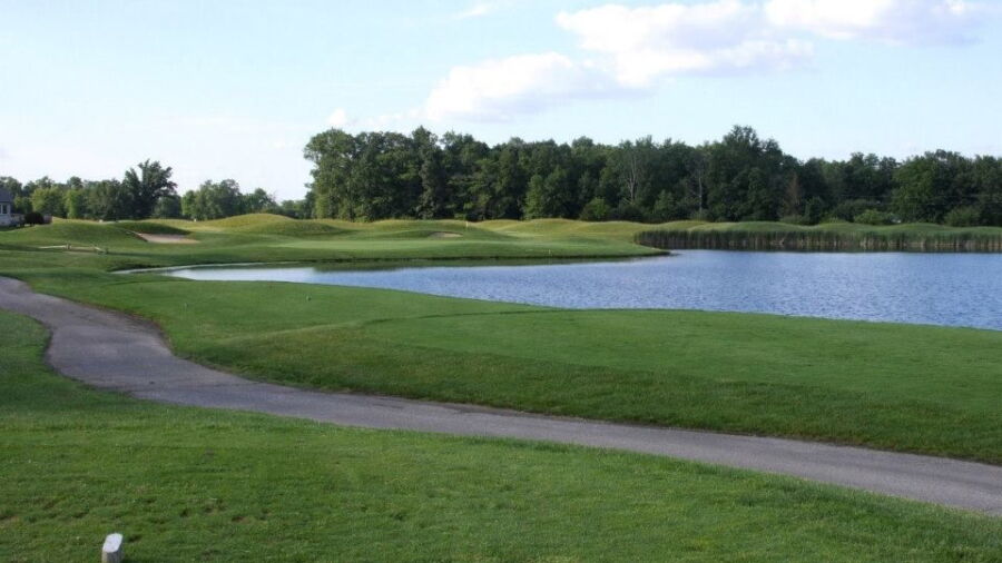 Foxfire GC