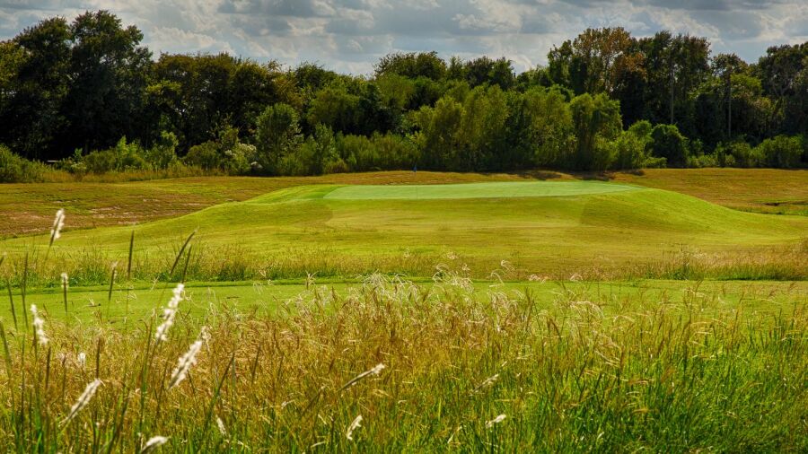 Meadowbrook Farms GC: #8