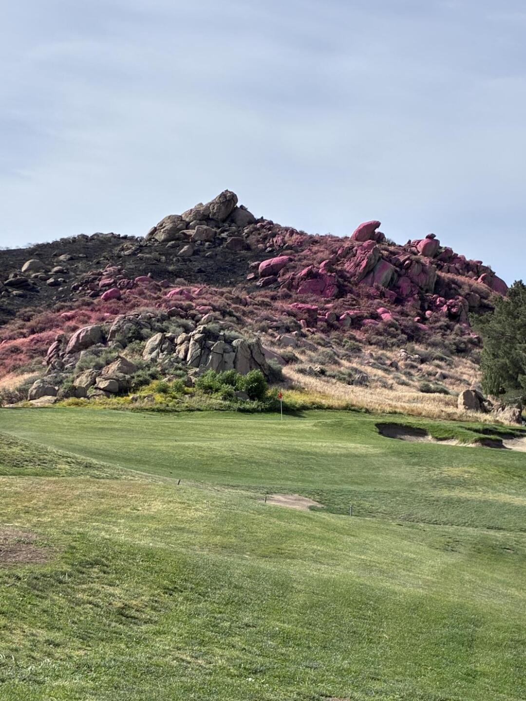 (Photo submitted by bruinboy30 on 04/06/2026)