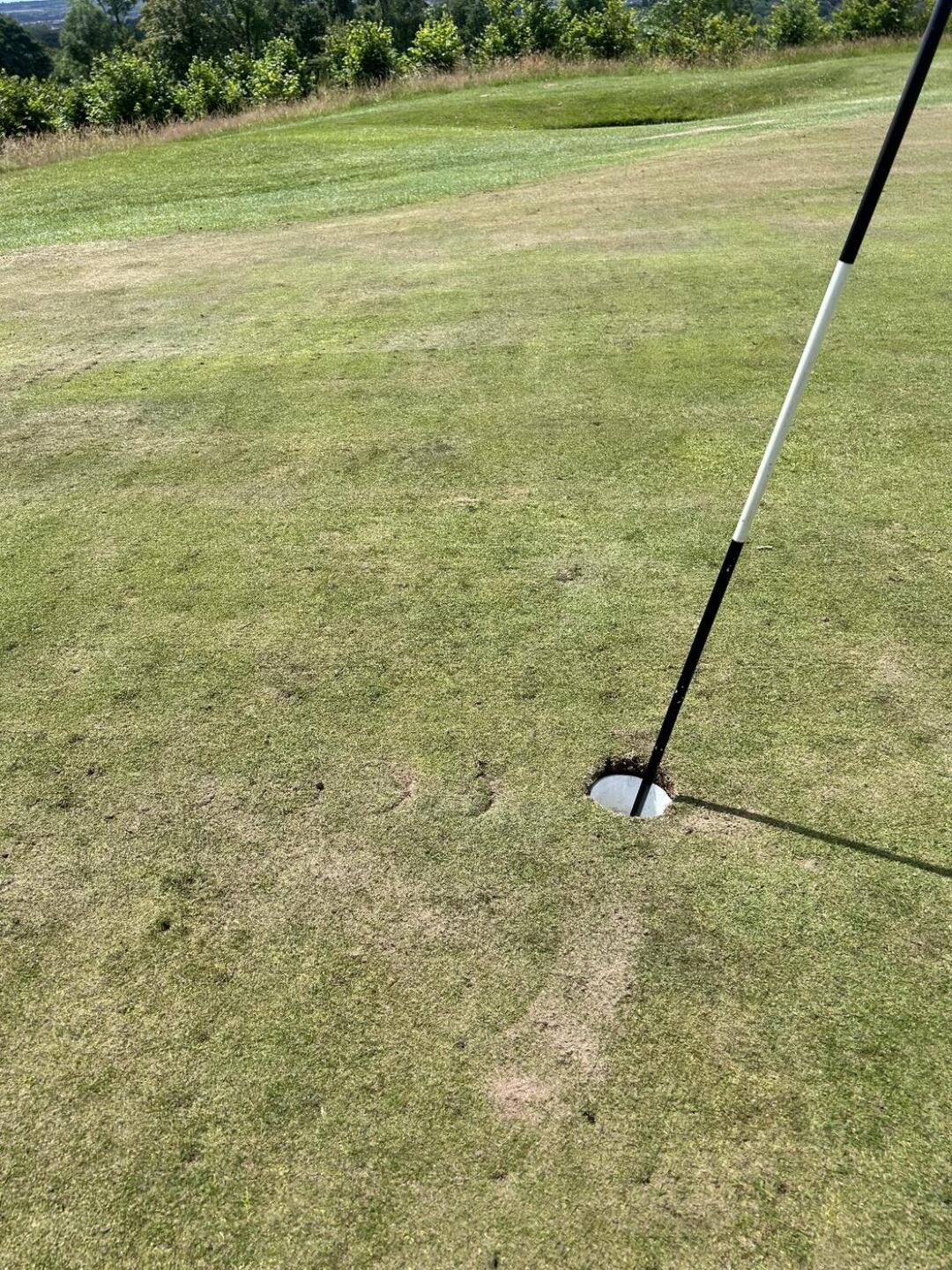 (Photo submitted by eHrfuwzkHQxpHbKEP61N on 07/01/2026)