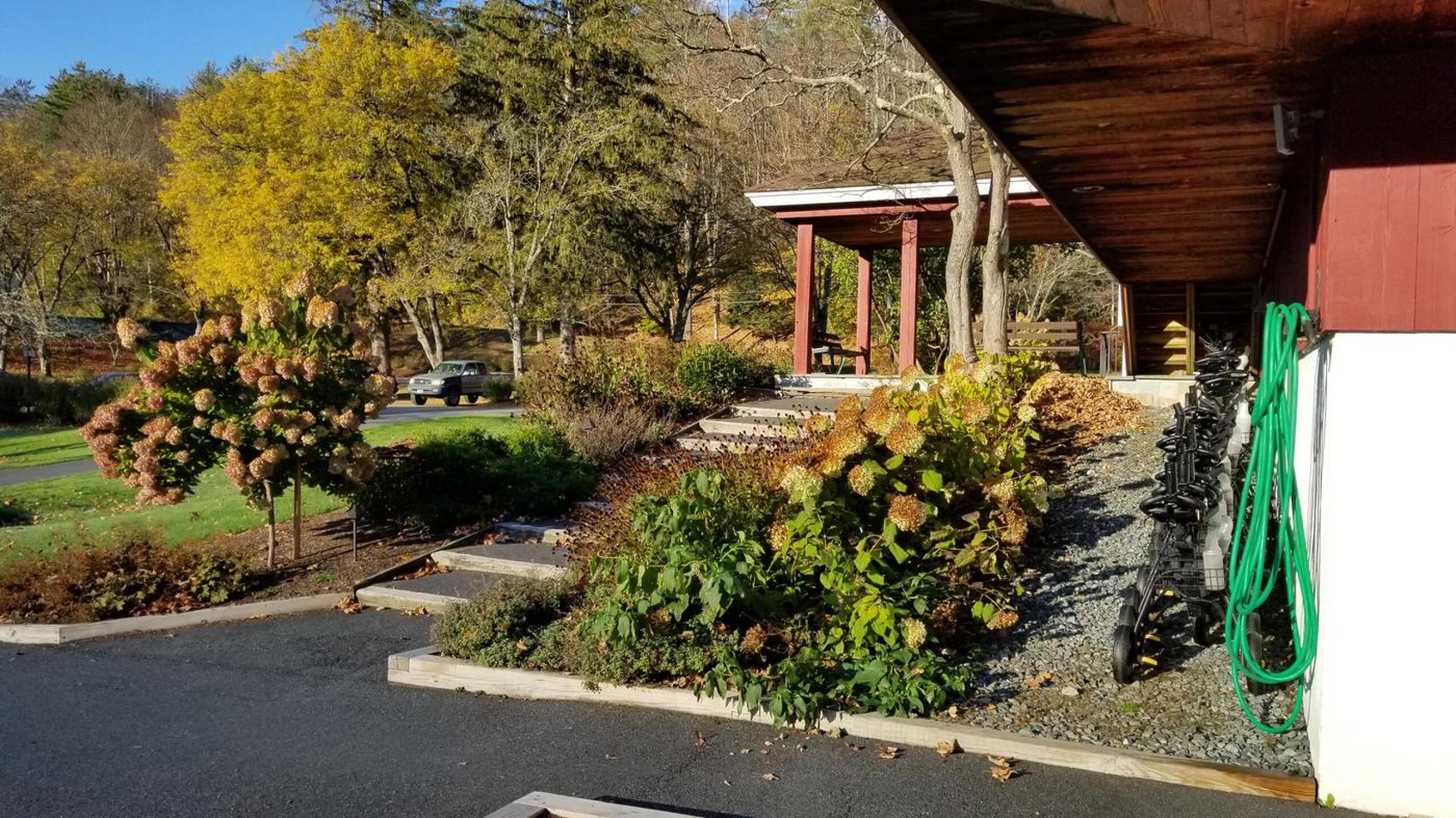 (Photo submitted by golfingorfishing on 10/22/2017)