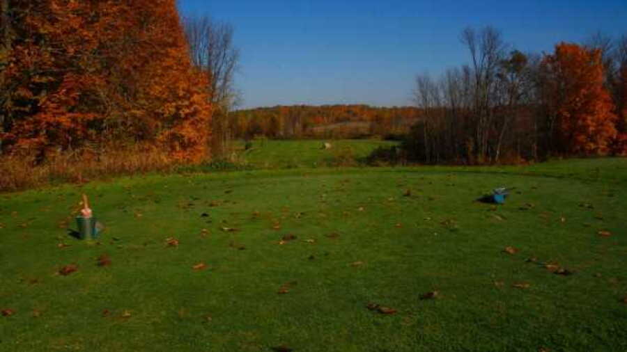Poplars GC