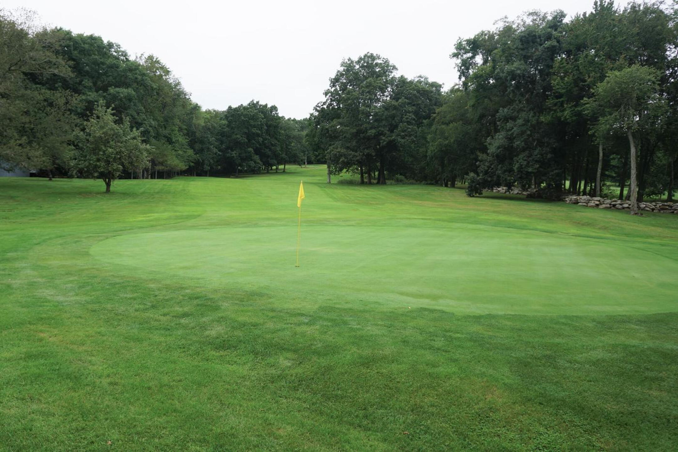 12th: A great driving hole that may finish with a short iron to this green. (Photo submitted by AptlyLinked on 09/03/2021)