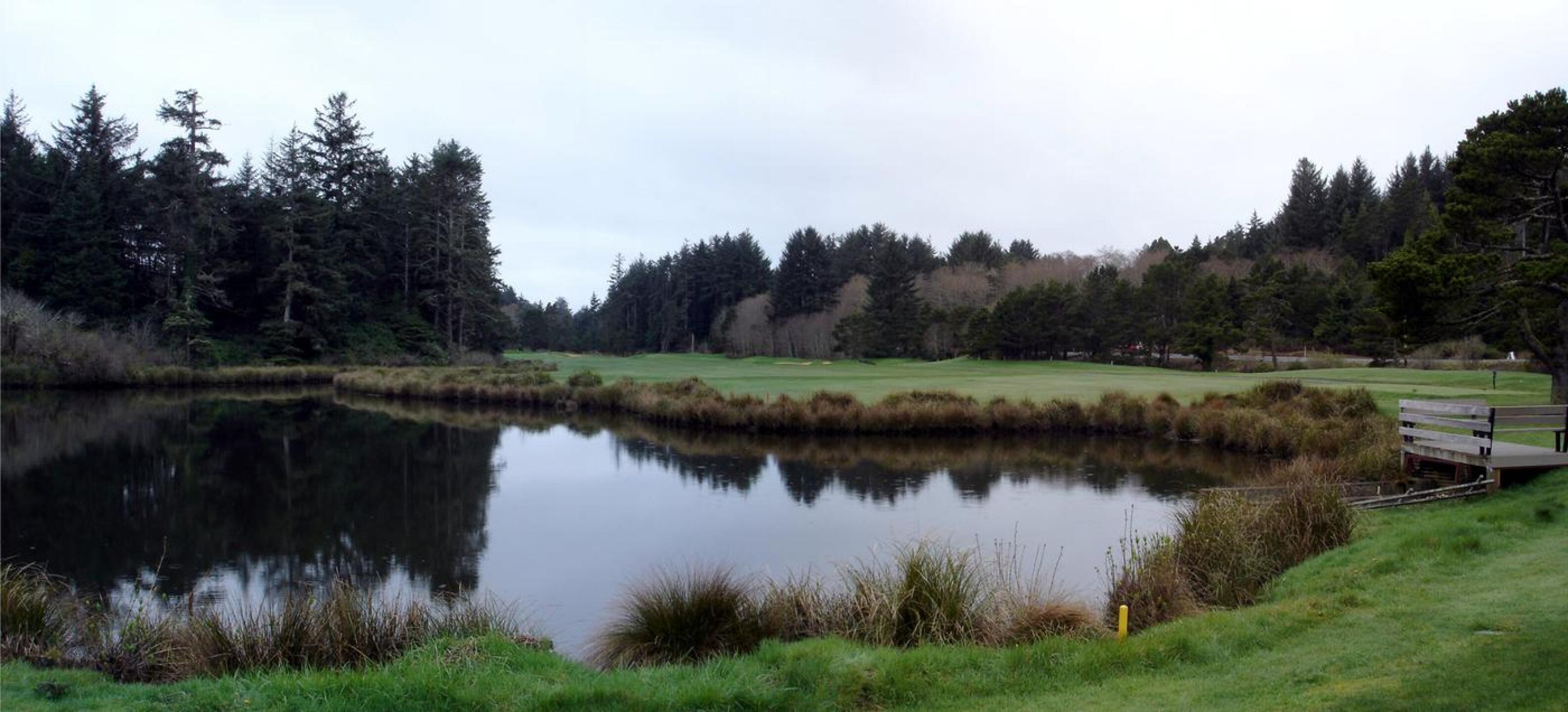 Salishan Spa & Golf Resort, Hole 1, Par 4, 395 yds (Photo submitted by DYakimec on 06/09/2018)