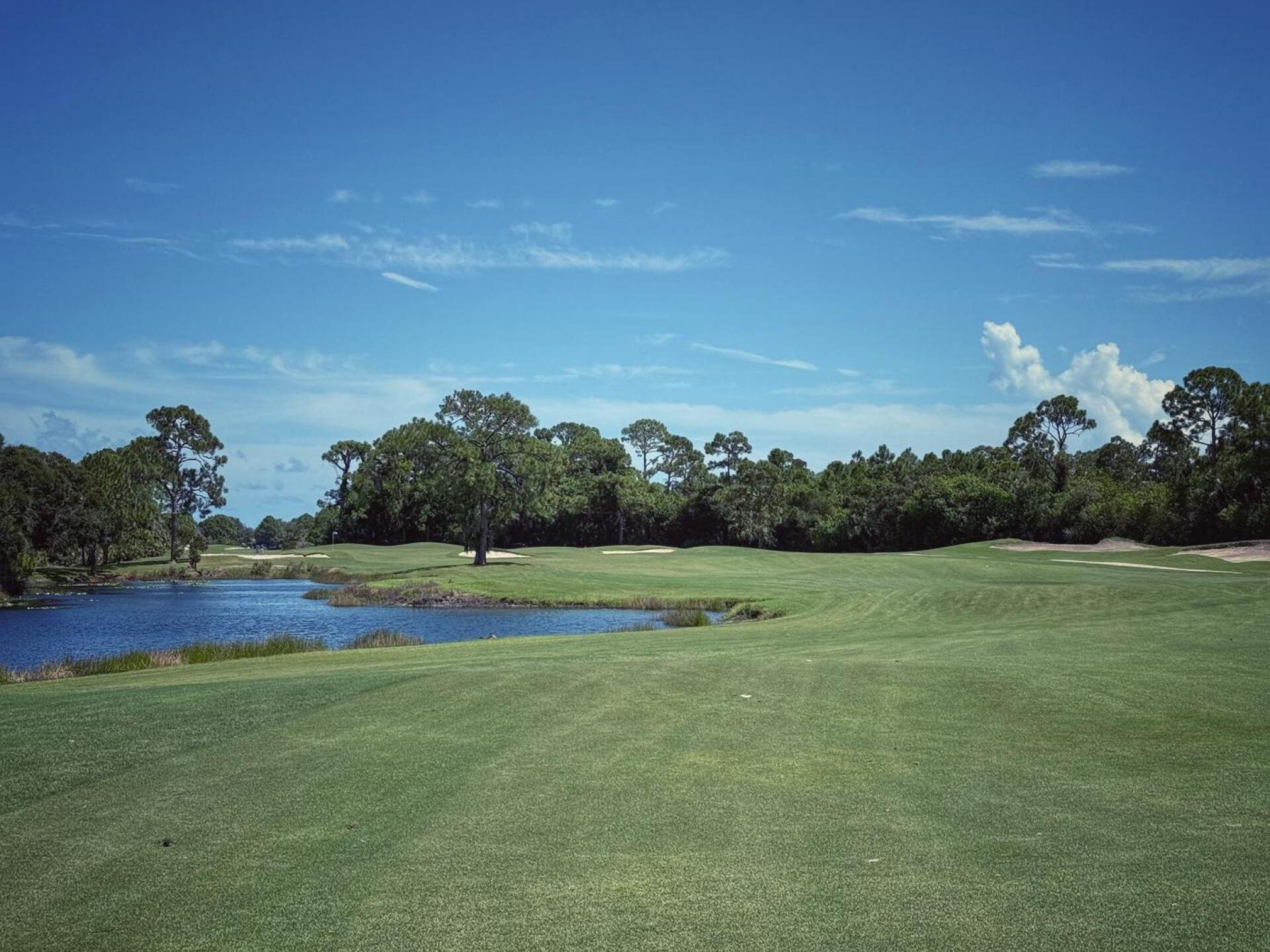 The Habitat, hole 8 (Photo submitted by TimGavrichGP on 11/29/2025)