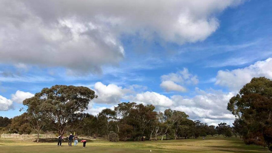 Temora GC