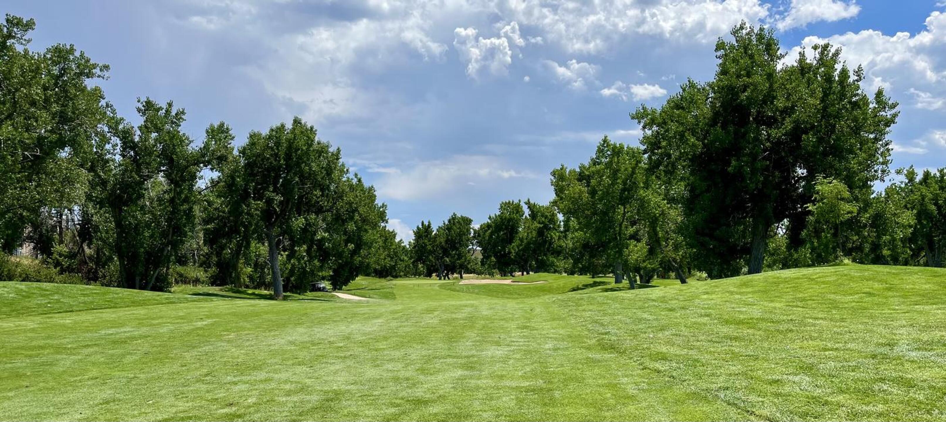 (Photo submitted by QuantumGolfx on 07/29/2023)