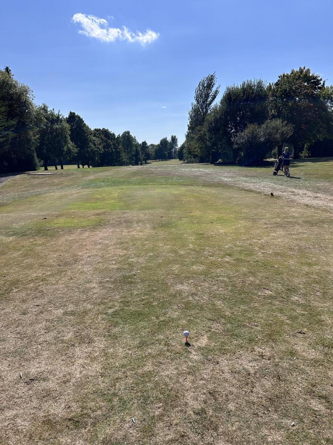 (Photo submitted by u314162663558 on 09/26/2025)