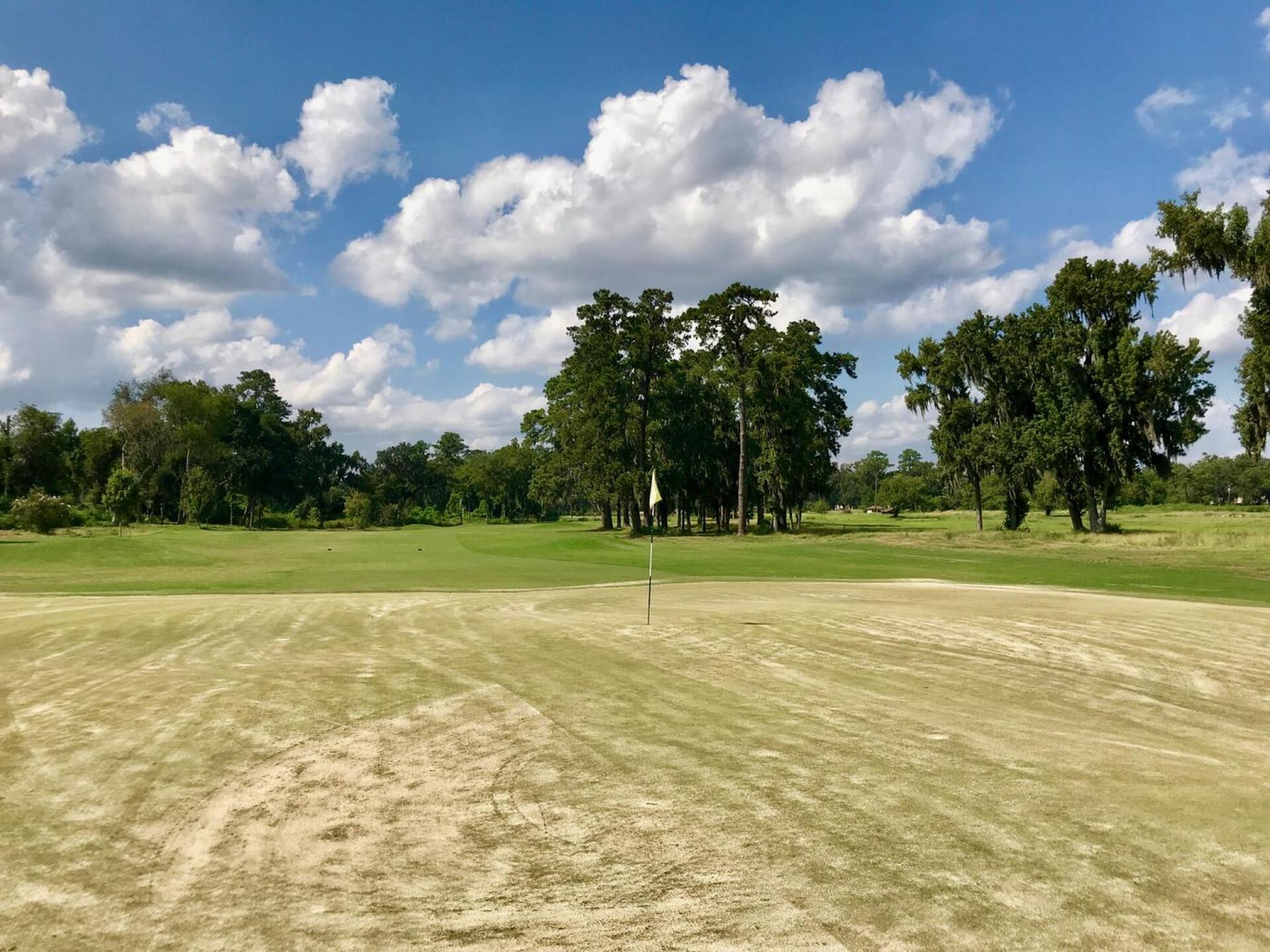 Bacon Park's greens were still recovering in August 2018, but they have plenty of interesting contours. This is the 15th. (Photo submitted by TimGavrichGP on 11/07/2018)
