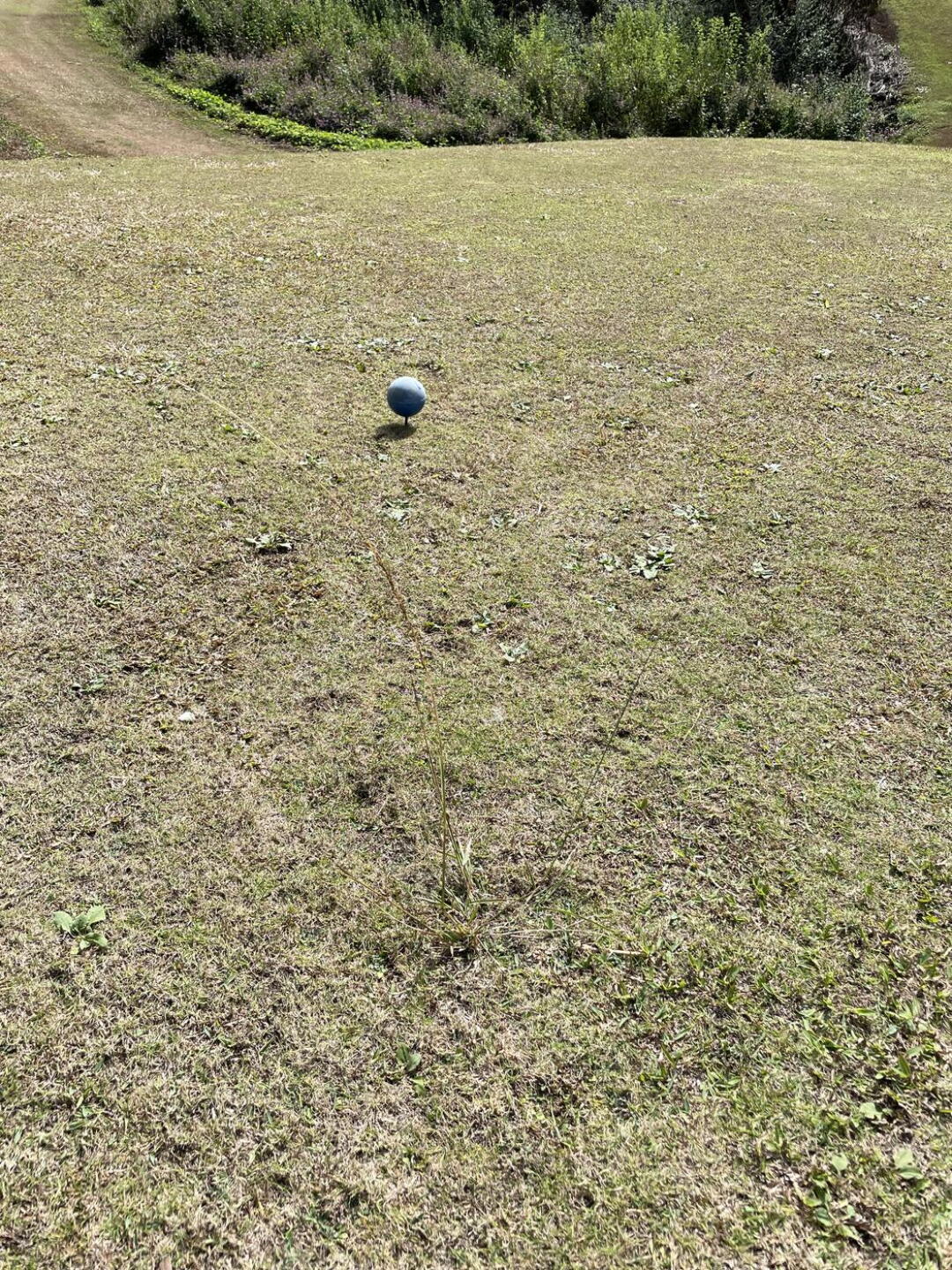 Tee box (Photo submitted by u00000701478 on 11/23/2021)