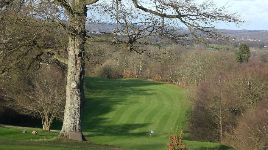 Tree lined fairway at Beauport Park