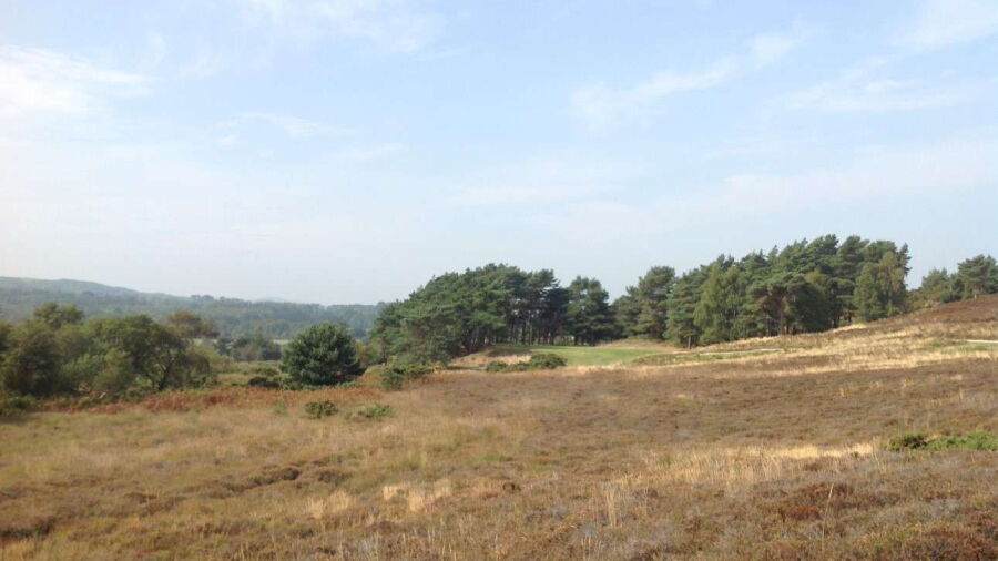 Isle of Purbeck: #11