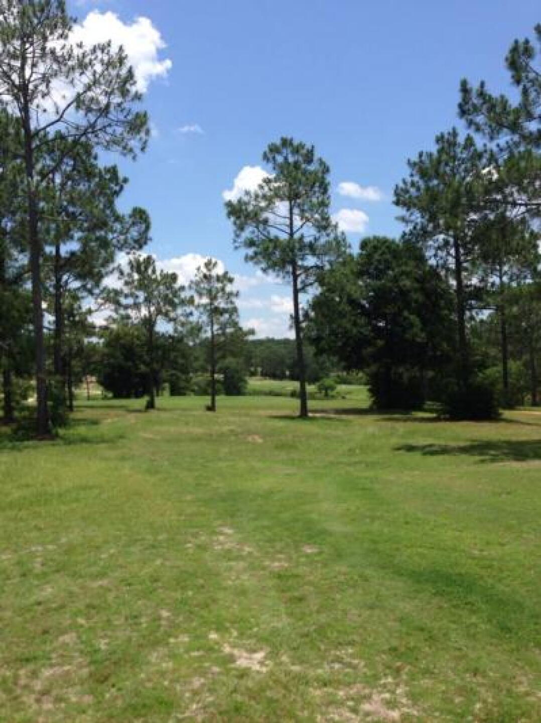 around course view (Photo submitted by drallabg on 06/13/2014)