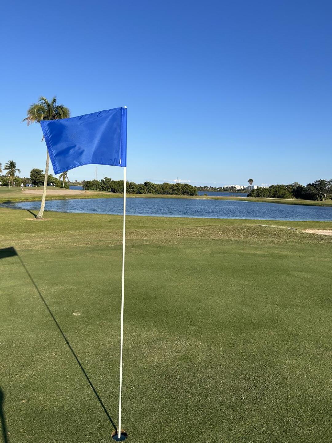 (Photo submitted by u814396387 on 03/15/2025)