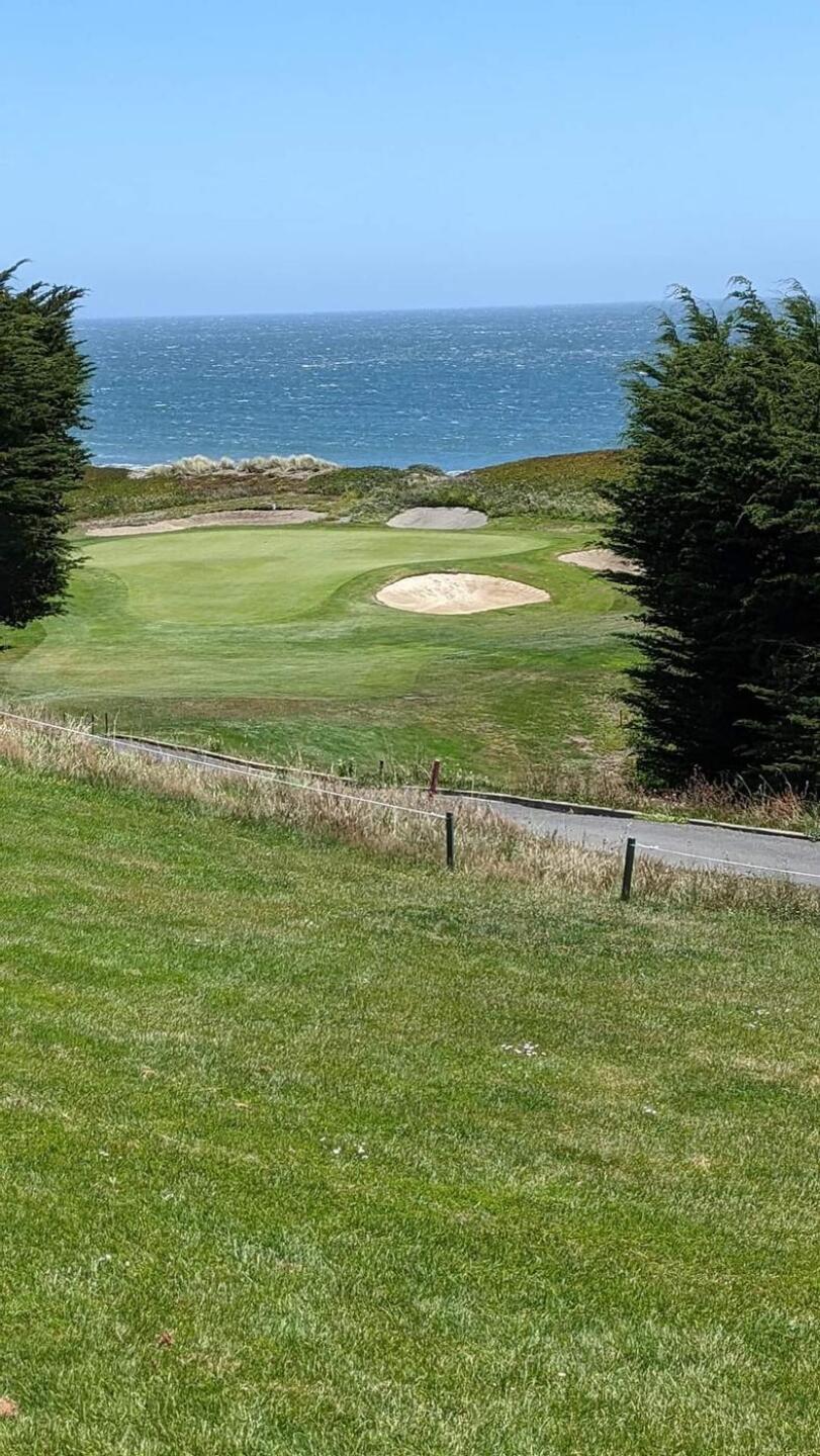 (Photo submitted by linz4ucla on 07/18/2022)