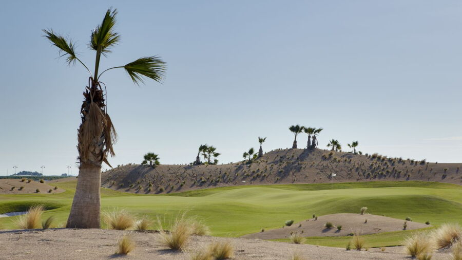 Saurines de la Torre Golf