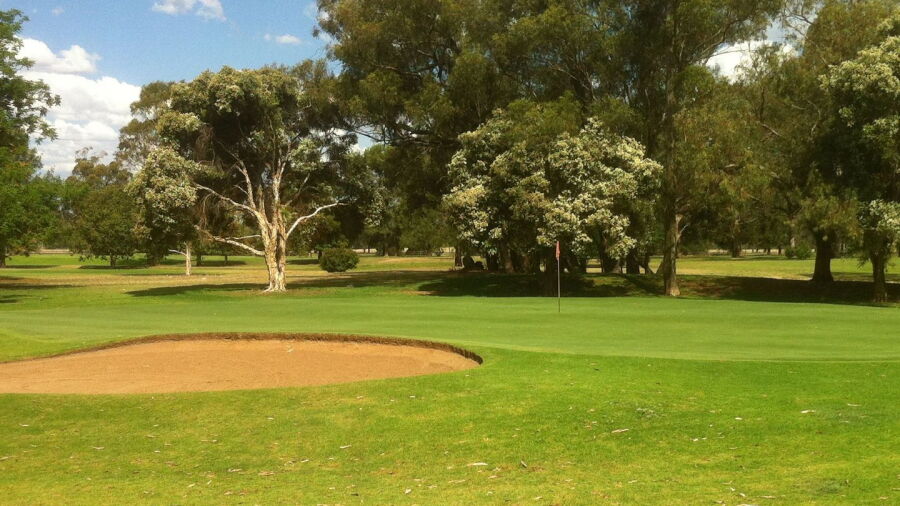 Dubbo GC