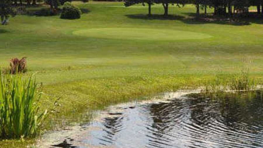 Greenlea GC: #8