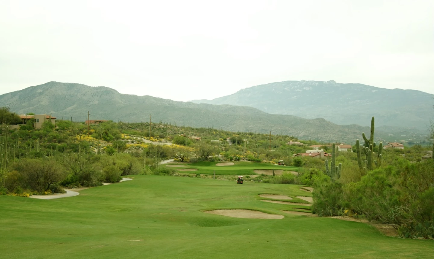 Arizona National Golf Club - No. 11