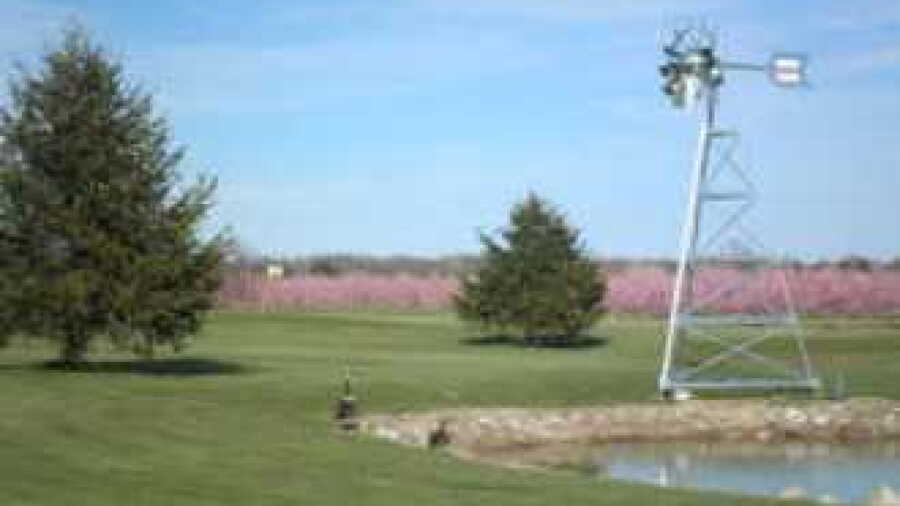 Peach Trees GC: #6