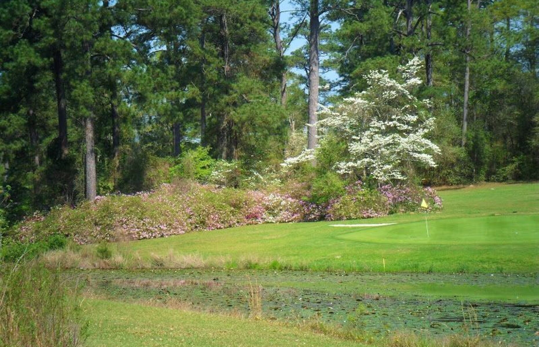 Evergreen Golf Club in Evergreen, Alabama, USA GolfPass