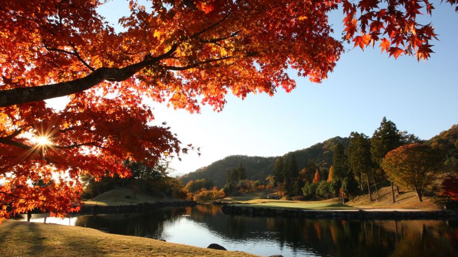 Maple Point GC