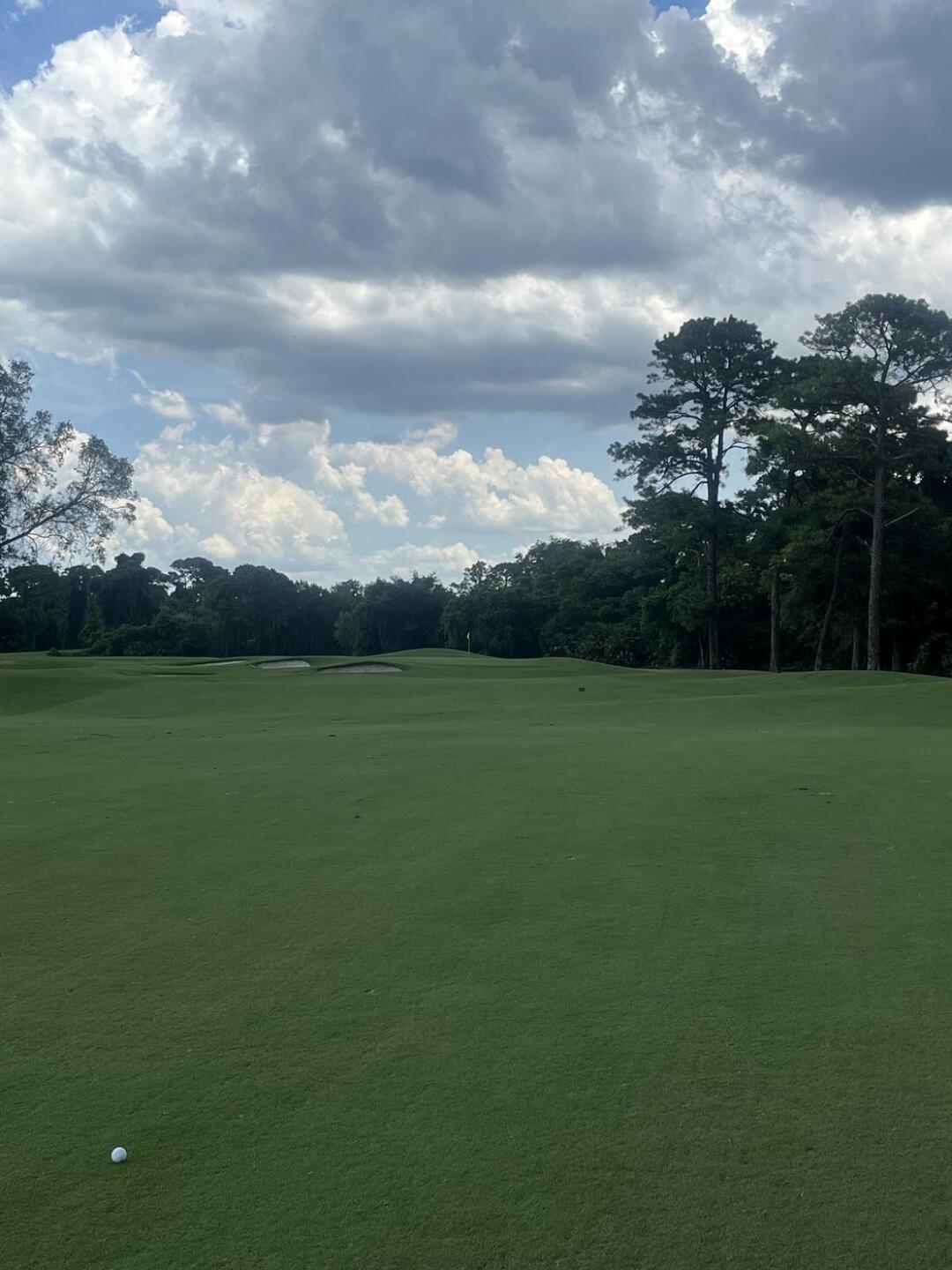 (Photo submitted by rodeotay84 on 06/29/2024)