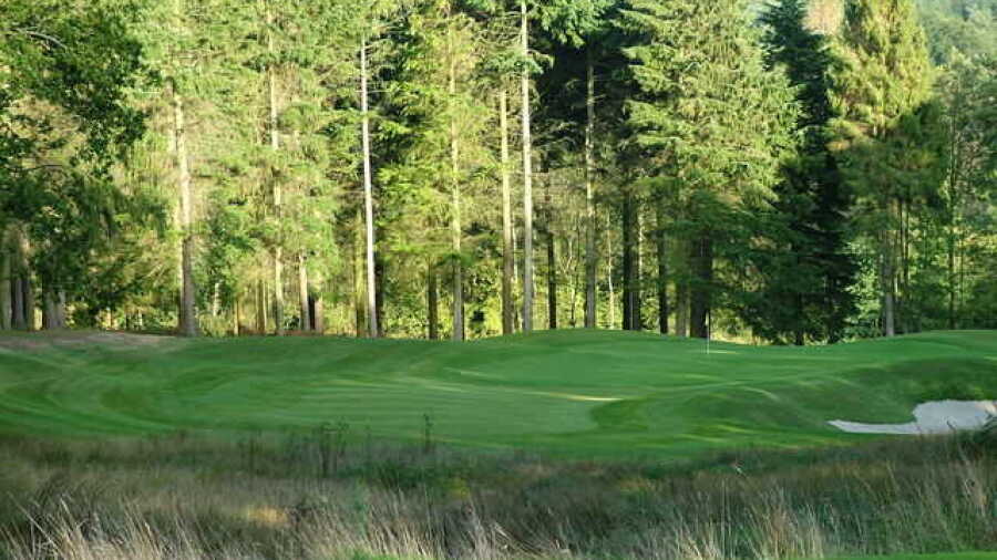 Remedy Oak Golf: #4