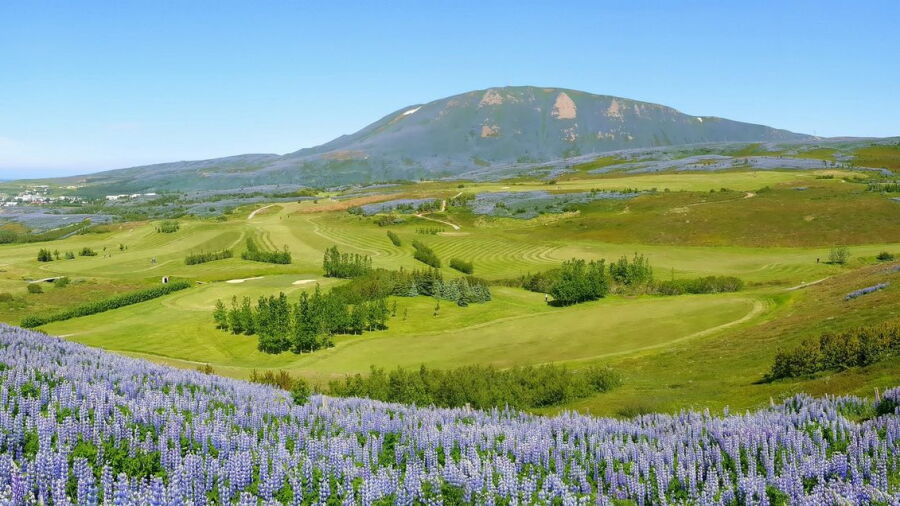 Husavik GC