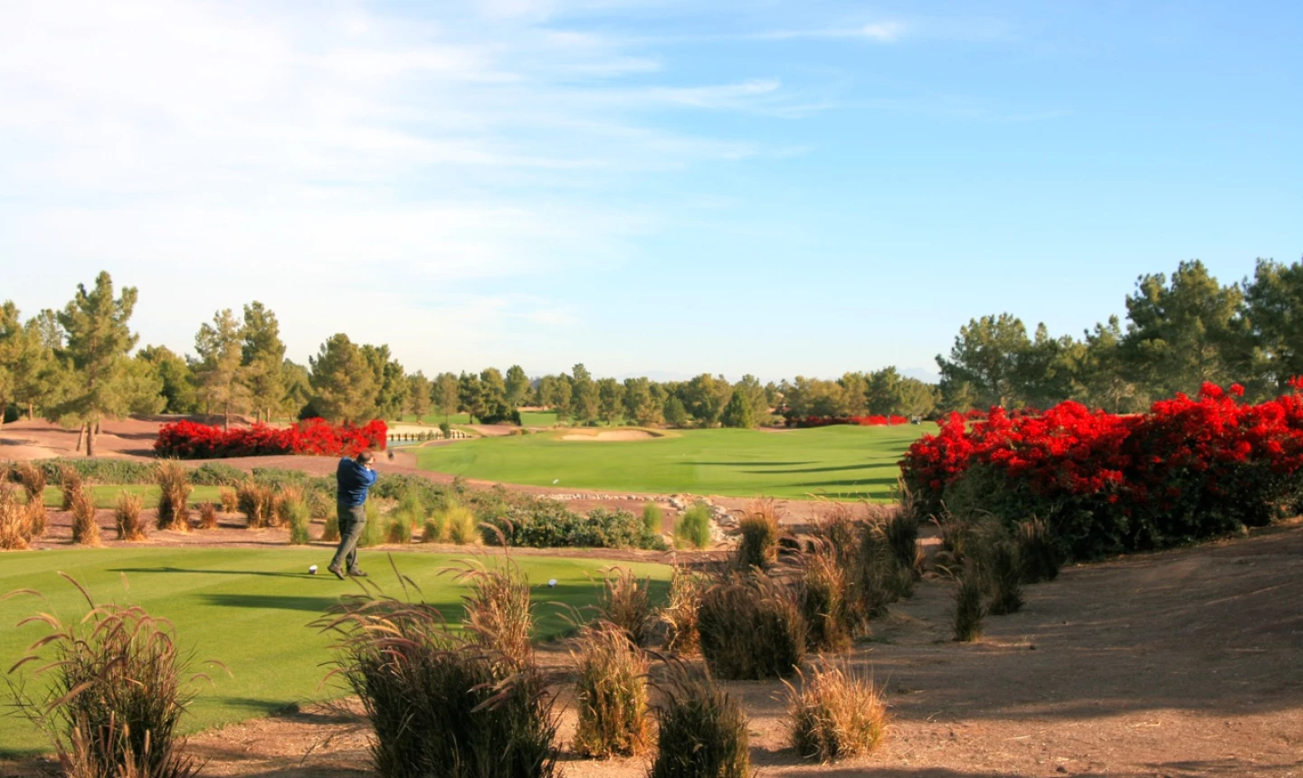Raven Golf Club Phoenix - bougainvillea