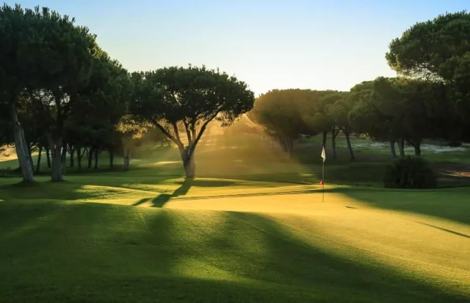 Dom Pedro Golf - Pinhal