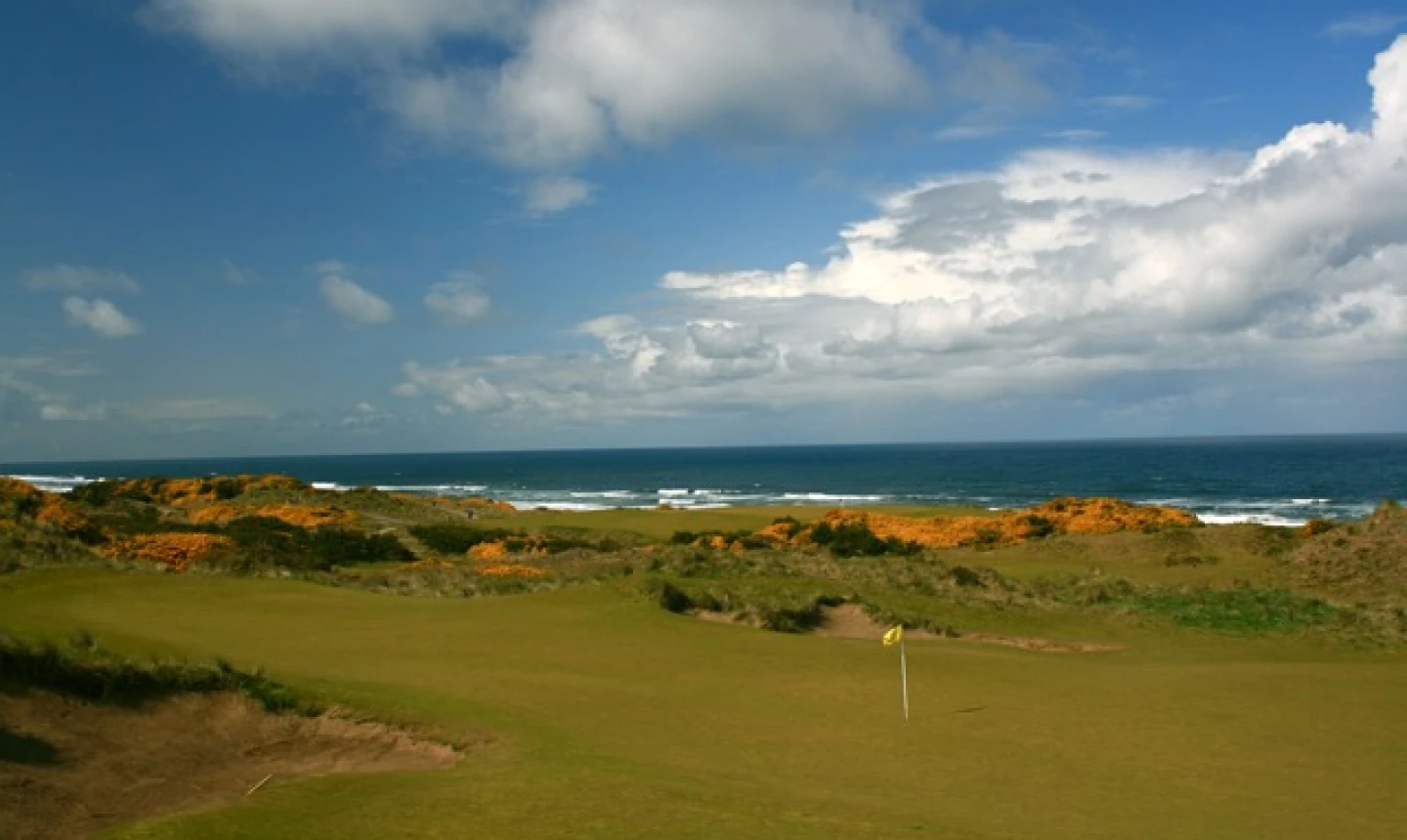 Pacific Dunes Golf Course - Rugged Look