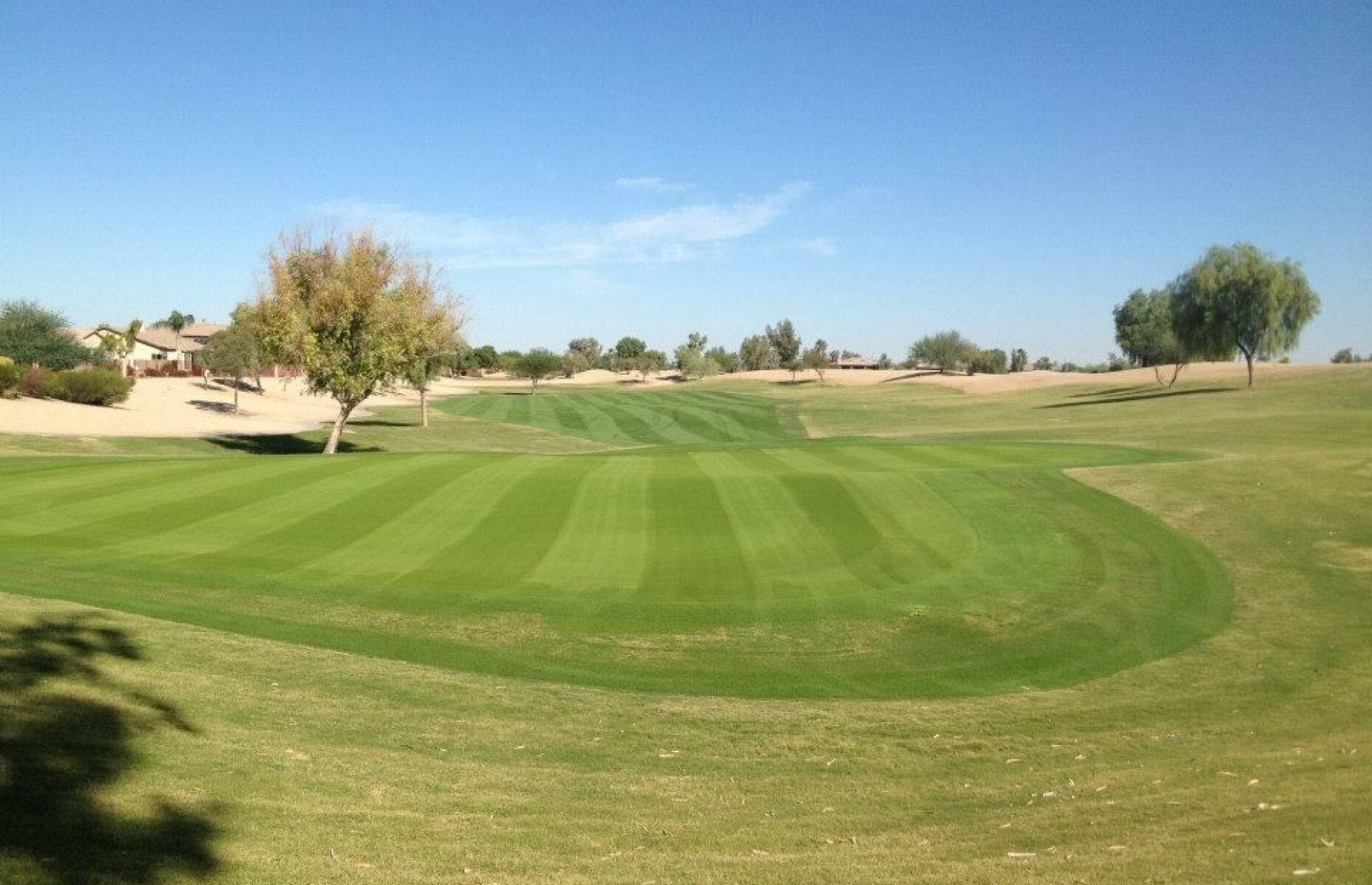 Lone Tree Golf Club in Chandler, Arizona, USA | Golf Advisor