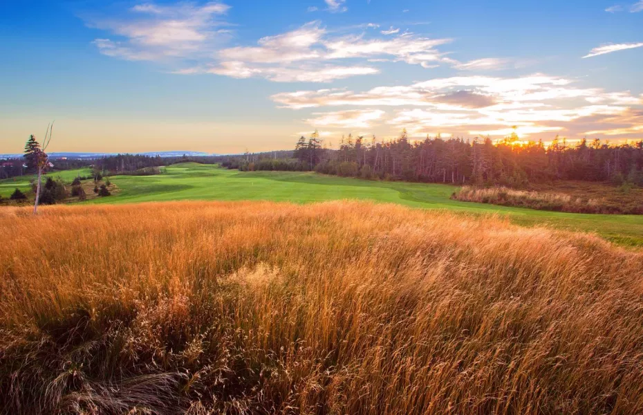 Clovelly GC - Black Duck: #4