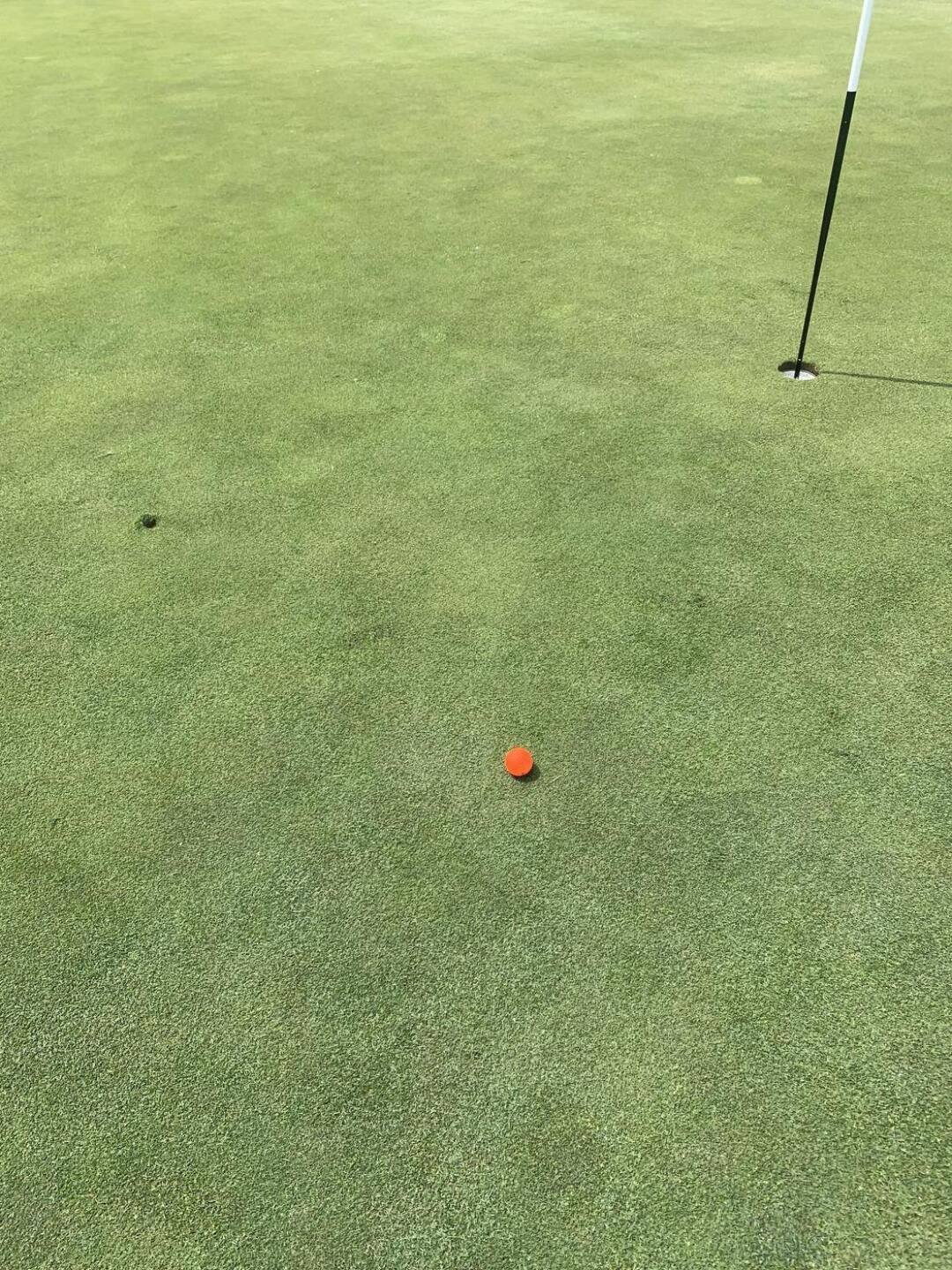 4 feet- Birdie putt made! (Photo submitted by u314163028970 on 08/01/2022)