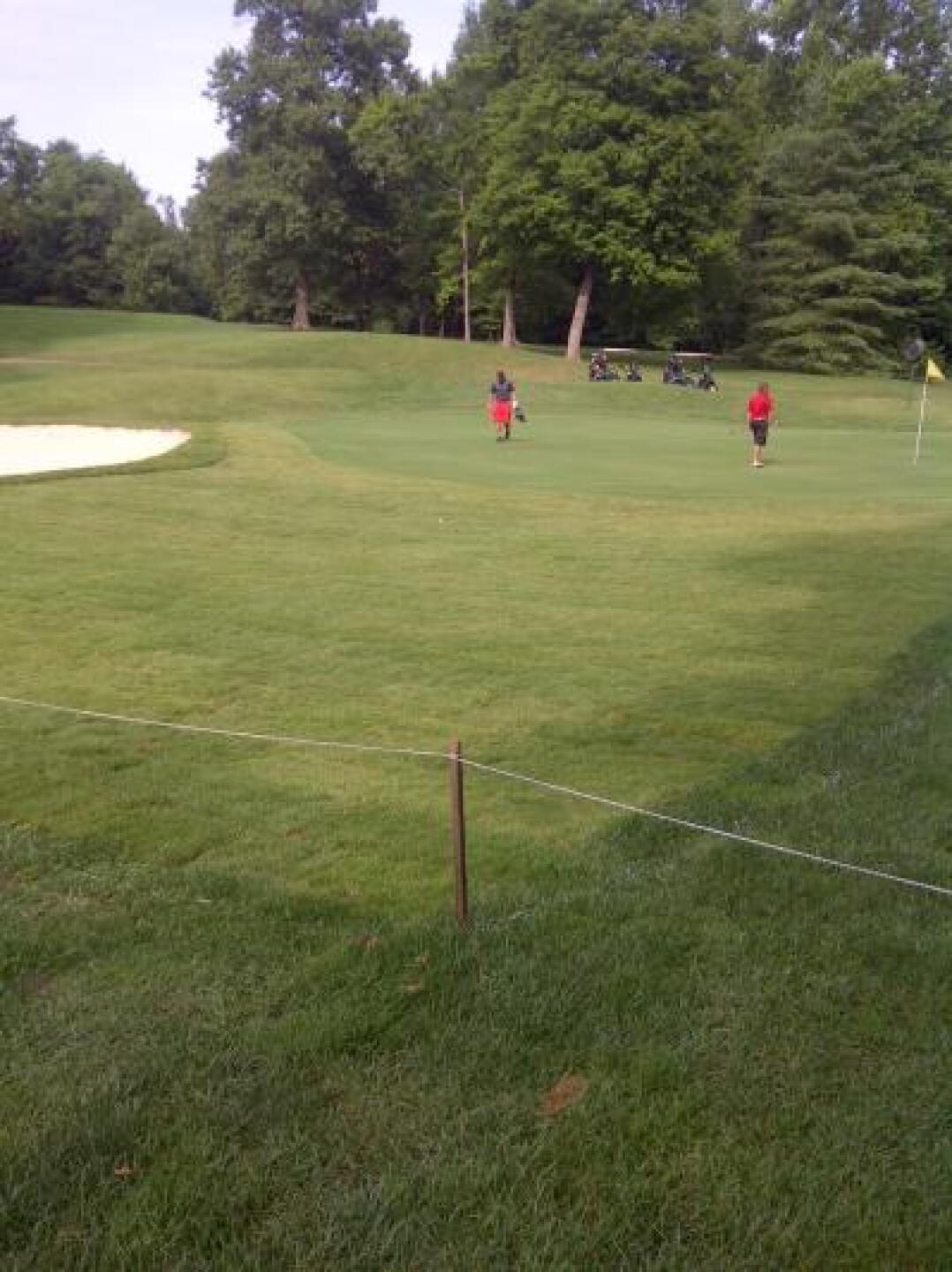 New sod added to increase the beauty of the master art piece. (Photo submitted by flyvers on 07/23/2014)