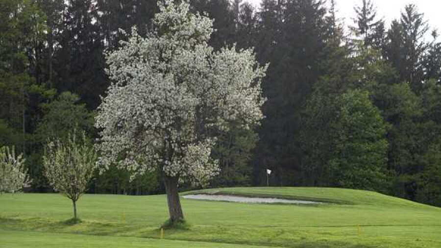 Thalersee GC - Windhof