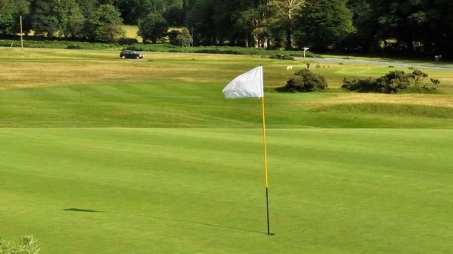 Tavistock GC: #14
