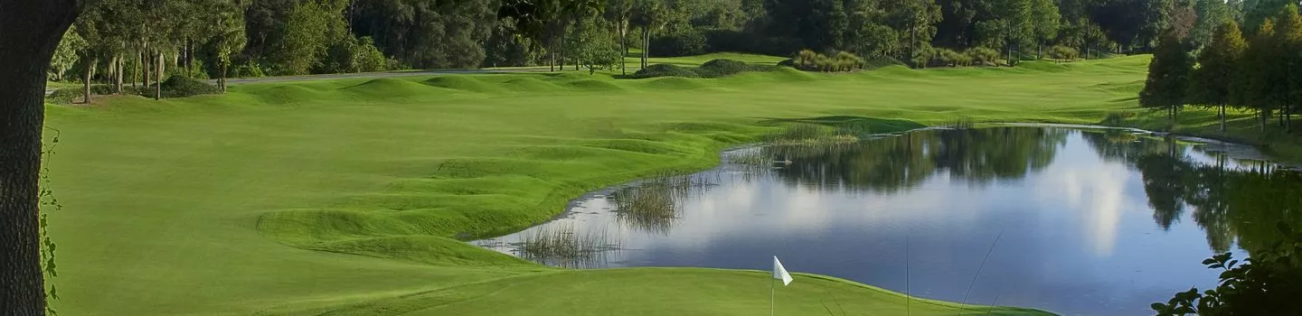 Grand Cypress - South: #6