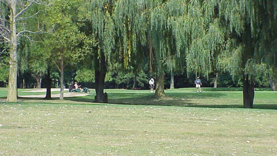 Western Greens CC