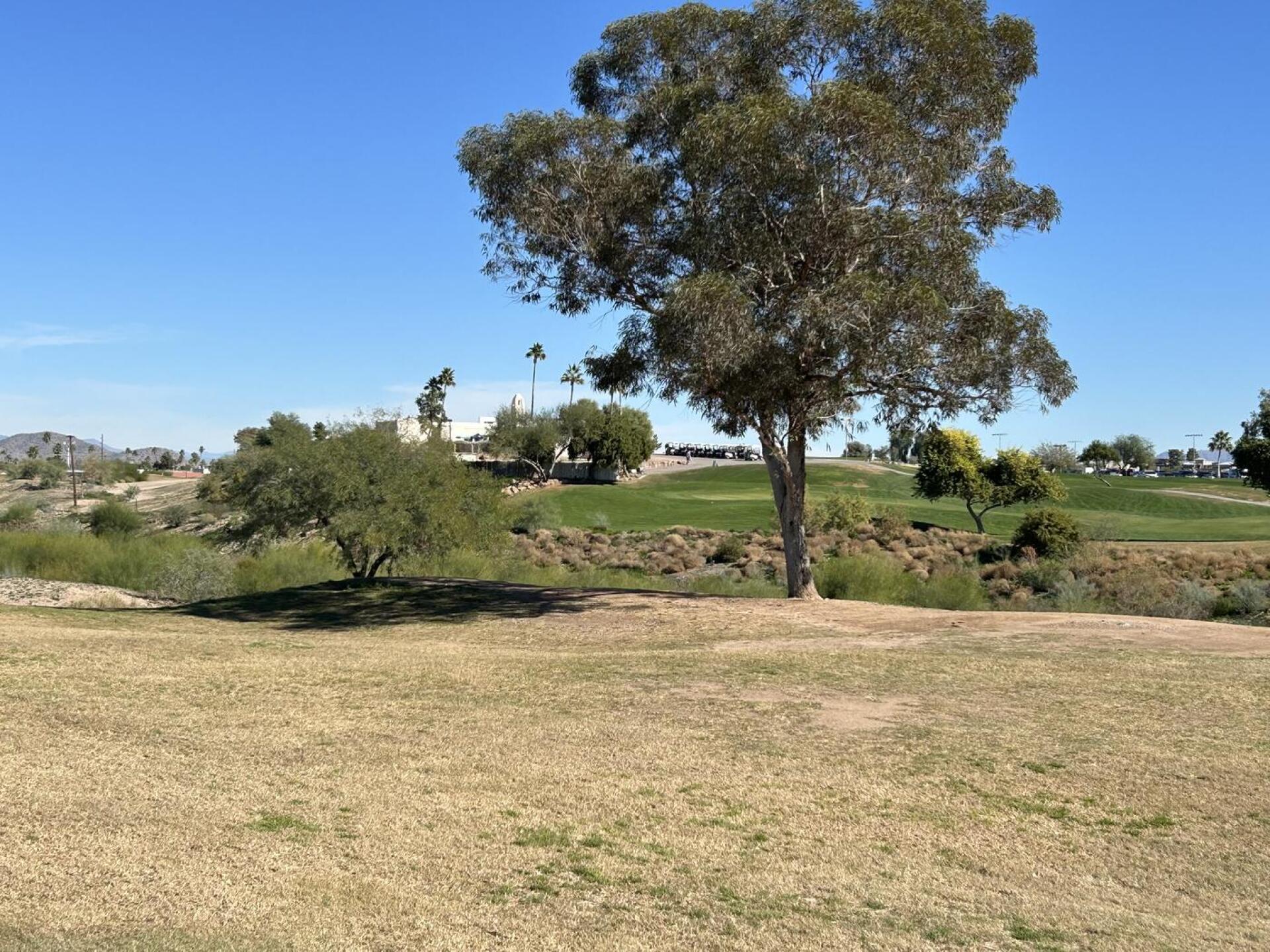 (Photo submitted by donpesek on 01/14/2026)